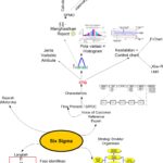 IDENTIFIKASI MASALAH MELALUI SIX SIGMA (CATATAN TRAINING SIX SIGMA-2 HARI)